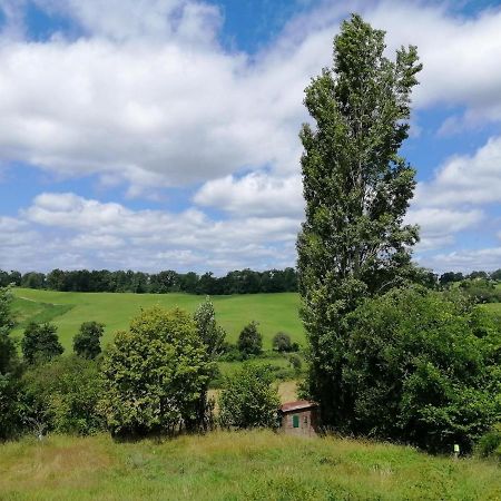 Le Gite Des Colories Salies-de-Béarn Buitenkant foto